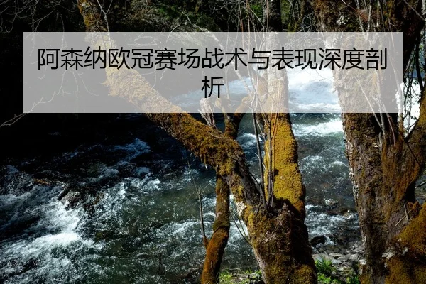 阿森纳欧冠赛场战术与表现深度剖析